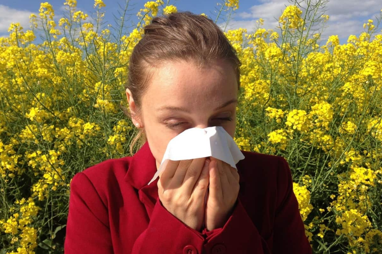 Még tart a pollenszezon késő tavaszi legerősebb terhelésű időszaka